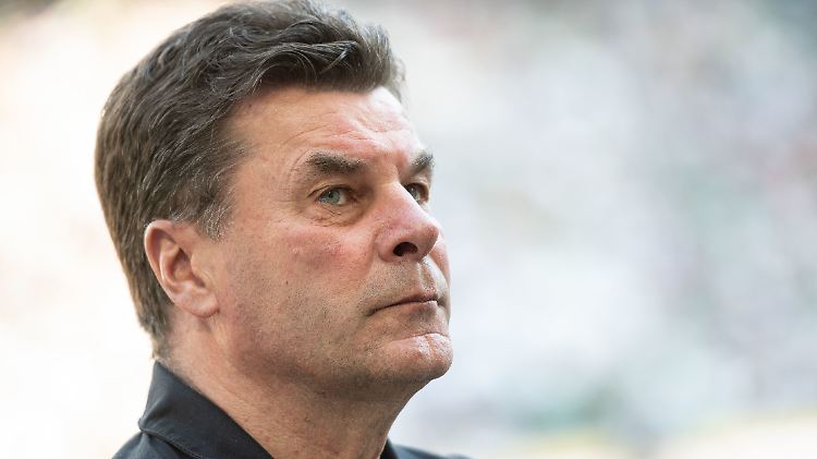 Dieter Hecking blickt nach oben, dahin will auch der HSV.