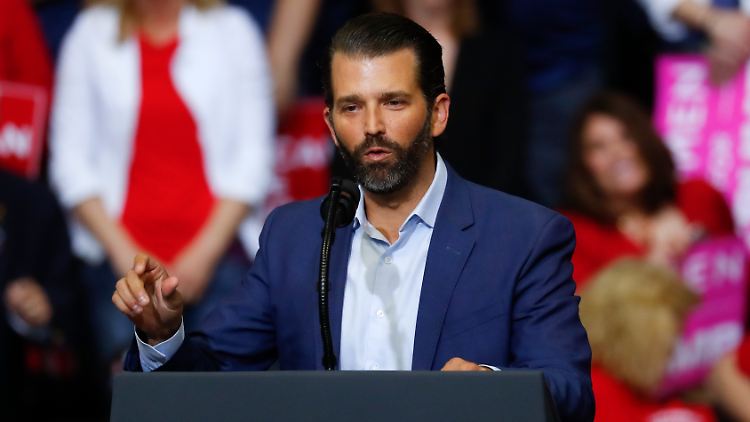 Trump Junior sagte schon 2017 vor dem US-Senat aus.