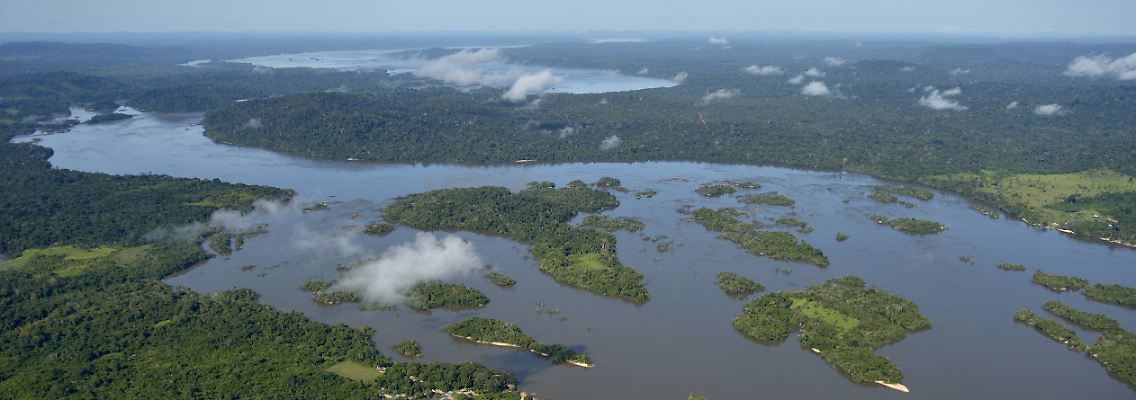 "Wegen seiner untrennbaren semantischen Beziehung zum Amazonas-Regenwald" sollte die Domain ".amazon" kein Monopol eines Unternehmens sein, argumentierte das brasilianische Außenministerium.