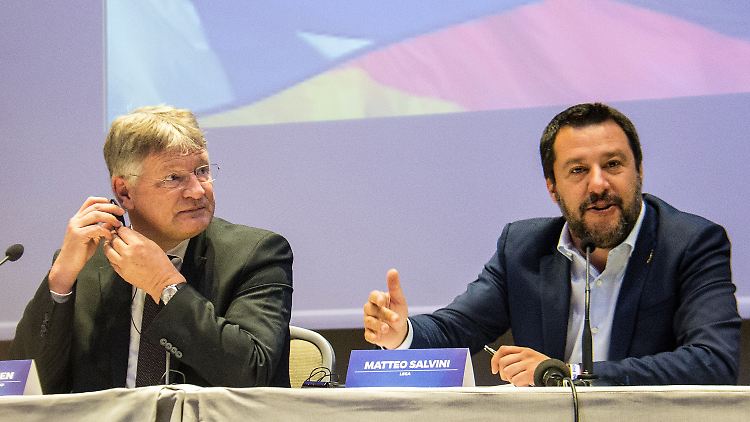 Jörg Meuthen und Matteo Salvini wollen bei der Europawahl drittstärkste Fraktion werden.