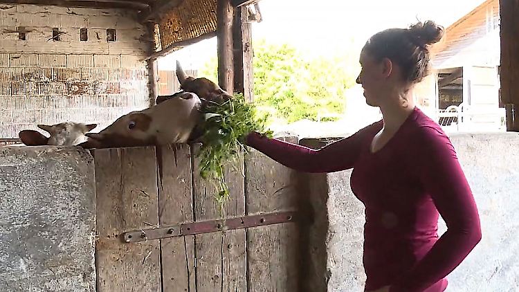 Agrarsubventionen EU Europawahl Landwirte.JPG