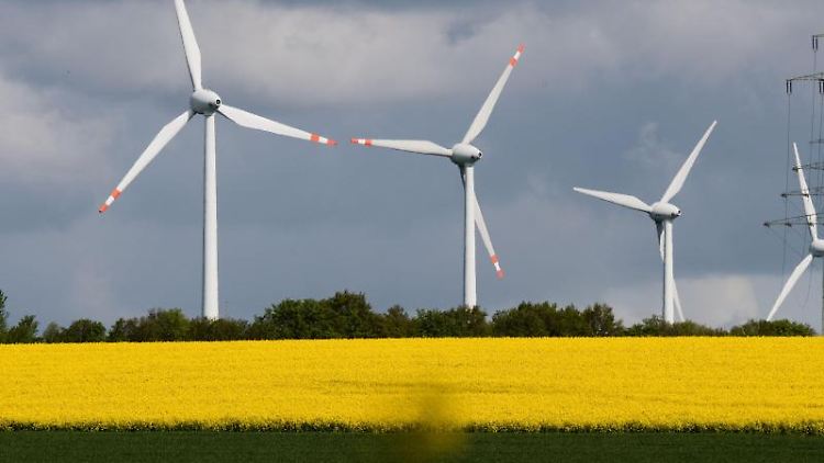 In Deutschland rotieren zwar schon viele Windräder, doch es sind wohl nicht genug, um die EU-Ziele zu erreichen.  Foto: Julian Stratenschulte