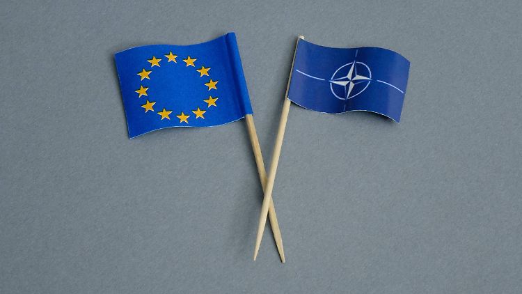 Nato und EU arbeiten bei der Abwehr von Cyberangriffen eng zusammen.