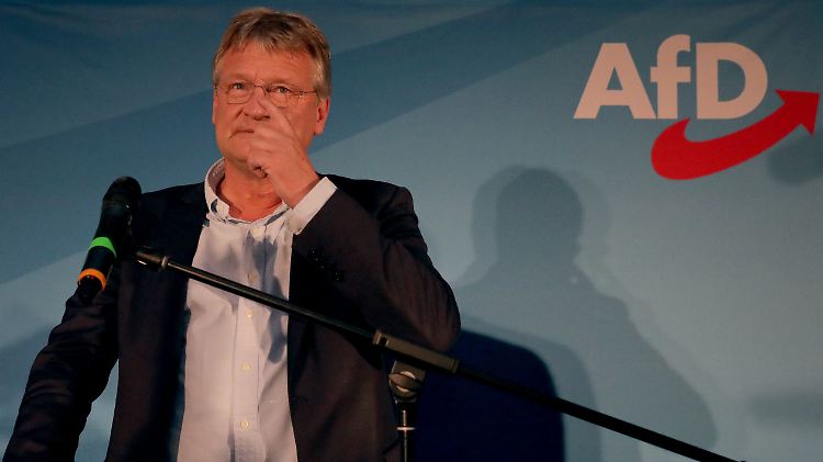 Schwierig einzuordnen: AfD-Spitzenkandidat Meuthen reagiert auf das Wahlergebnis.