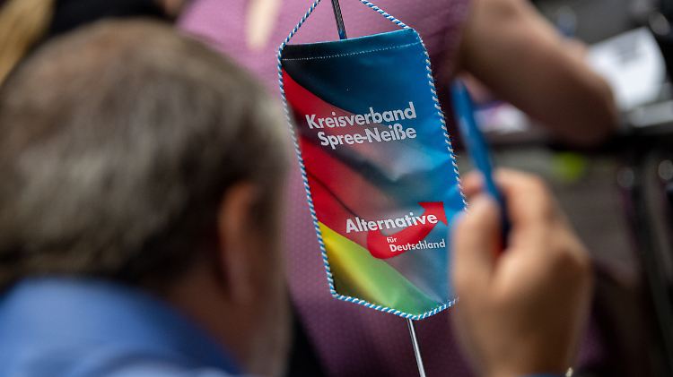 In Brandenburg kam die AfD bei der Europawahl auf 19,9 Prozent, vor der CDU mit 18 Prozent.