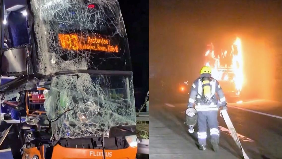 Flixbusse.jpg