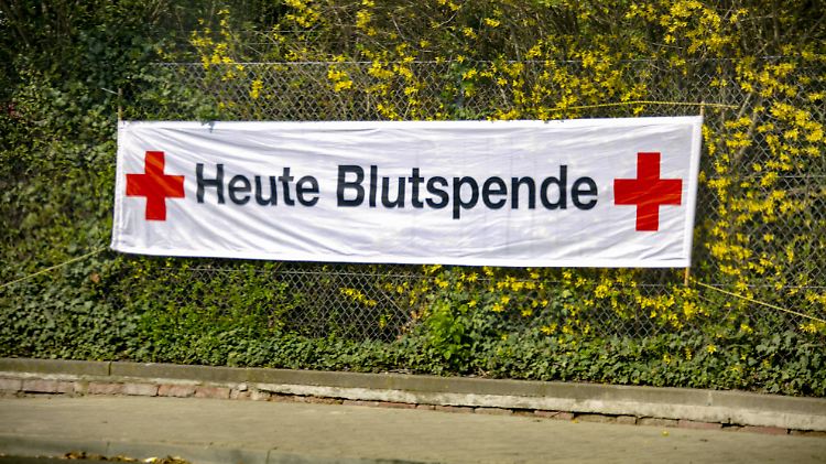 Das Deutsche Rote Kreuz zahlt nicht fürs Blutspenden - und das hat gute Gründe. 
