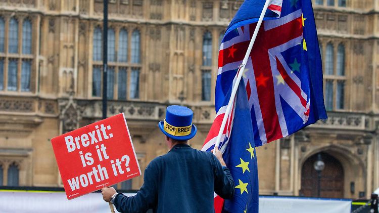 Anti-Brexit-Kampagnen außerhalb des britischen Parlaments