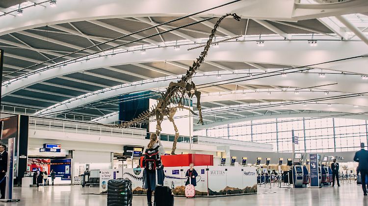 Skelett eines Dinosauriers in einer Halle des Flughafens London-Heathrow.