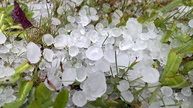 Riesige Hagelkörner in einem Garten im bayerischen Kaufbeuren.