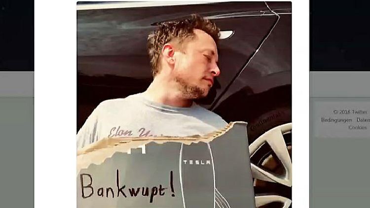 Musk.JPG