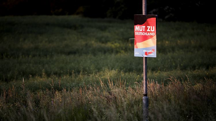 AfD-Wahlplakat an einer Landstraße bei Görlitz. Für die Partei geht es um den bisher mächtigsten Exekutivposten.