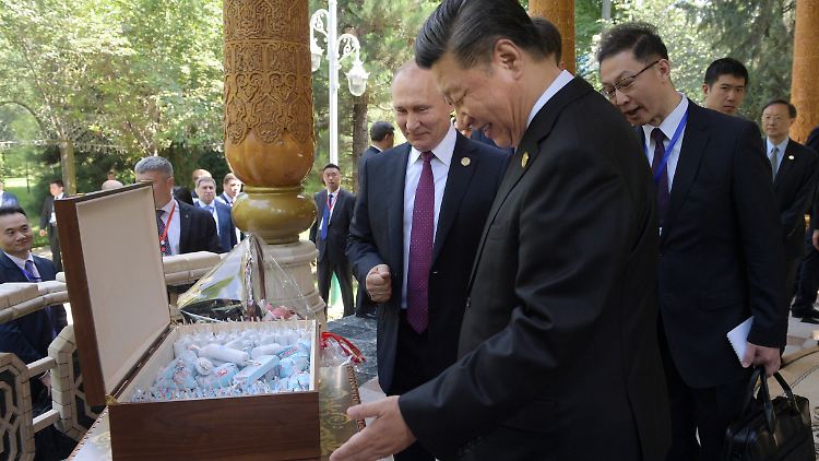 Putin überbrachte nicht nur Eis, sondern auch die guten Wünsche der ganzen russischen Nation. 