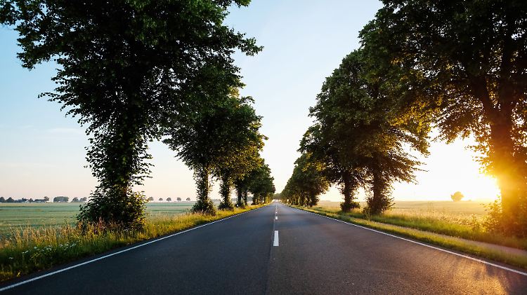 Man muss sehr früh aufstehen, will man die Bundesstraße 3 bei Pattensen in diesem Licht sehen.