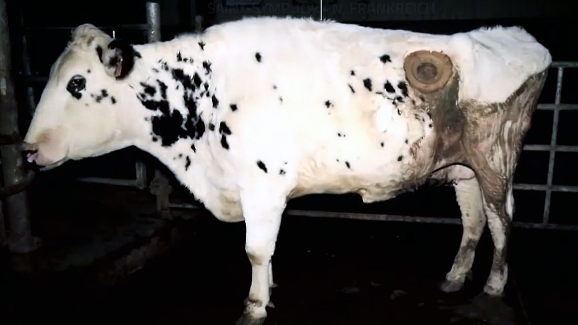 Unbenannt-1.jpg