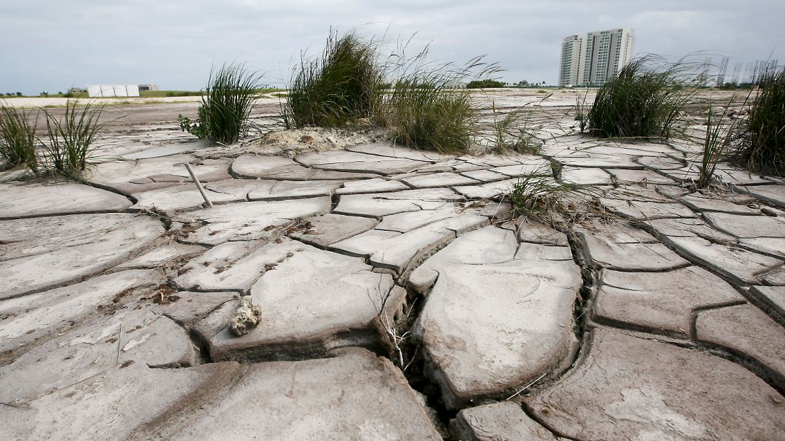Tiefe Risse sind im ausgetrockneten Boden der Mangrovensümpfe von Cancun zu sehen.