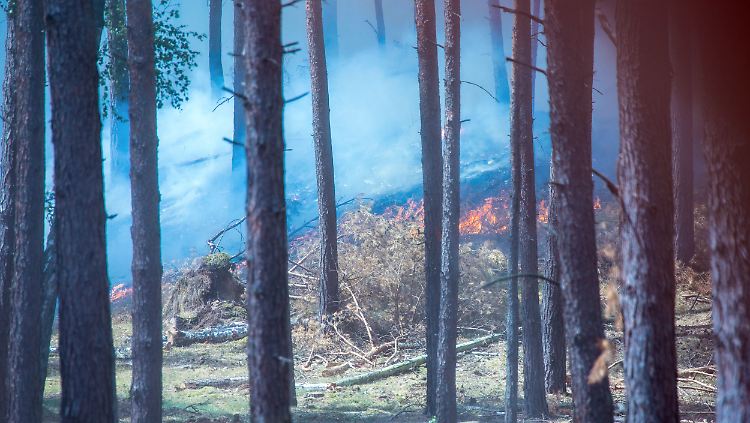 Betreten strengstens verboten: In dem Wald bei Lübtheen sind nicht nur die Flammen gefährlich, sondern vor allem die im Boden verborgene Munition, die jederzeit explodieren kann.