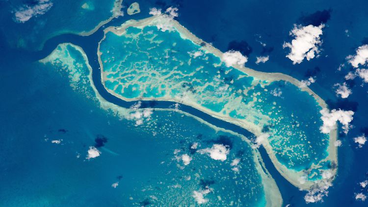 Das australische Great Barrier Reef ist das größte Korallenriff der Welt.