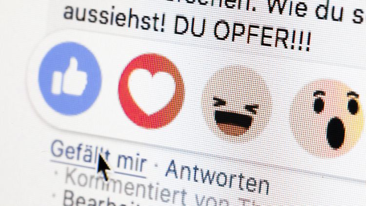 Das NetzDG verpflichtet Facebook, Falschnachrichten und Hass-Botschaften zu löschen.