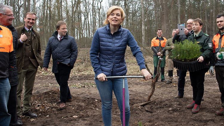 Um den Klimawandel aufzuhalten, wäre wohl knapp eine Milliarde Hektar zusätzlicher Wald nötig.