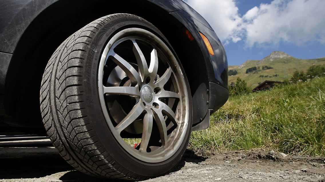 Porsche Cayenne_Natur.jpg