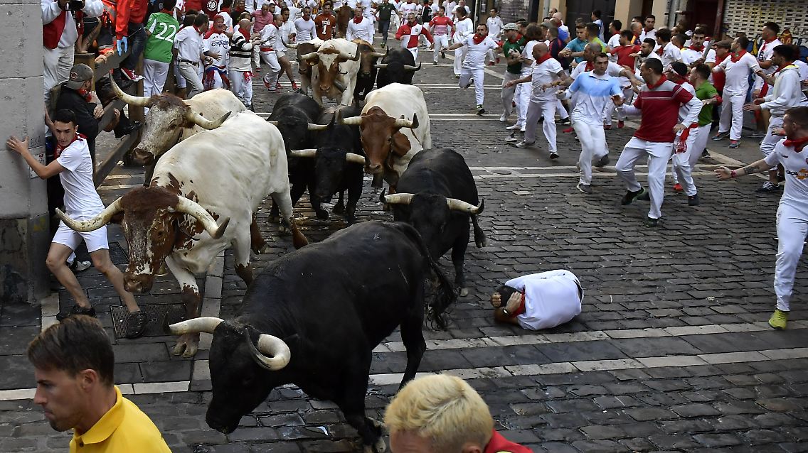 Die Stiere werden am Abend bei der traditionellen "Corrida" getötet, weshalb Tierschützer seit Jahren gegen die Hatz protestieren.