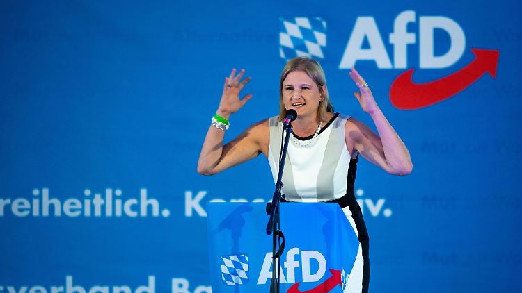 Fraktionschefin Katrin Ebner-Steiner findet es "nicht richtig", dass sie "hier gegrillt werden soll".