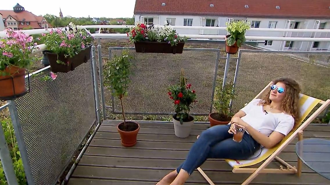 balkonpflanzen2.jpg