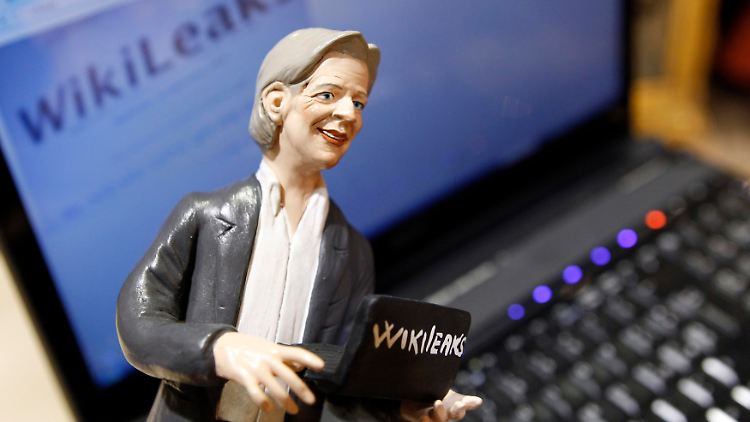 Bogk über Assange: "Es haben in der Tat einige Leute ein Problem mit der Art und Weise, wie Assange Wikilieaks betrieben hat."