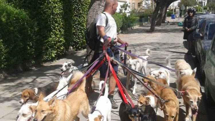 Ofir Hofstädter ist mit einer Gruppe seiner Schützlinge in den Straßen von Tel Aviv unterwegs.
