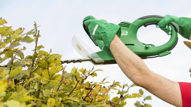 Im eigenen Garten kann man den Grünschnitt aber oftmals gut weiterverwenden.