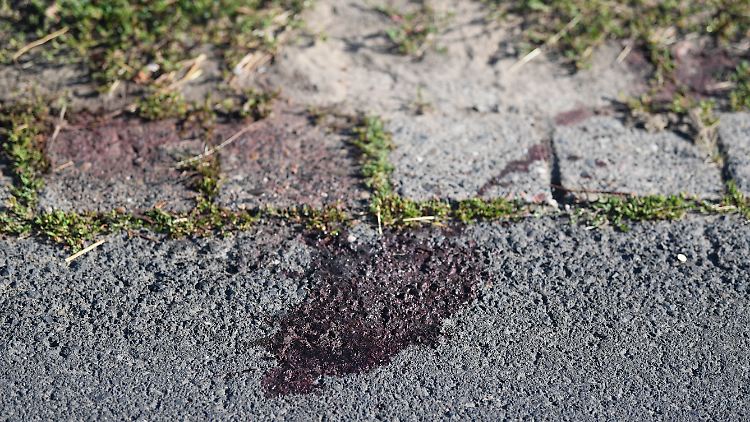Das Opfer, ein 26-jähriger Eritreer, überlebte die Tat schwer verletzt.