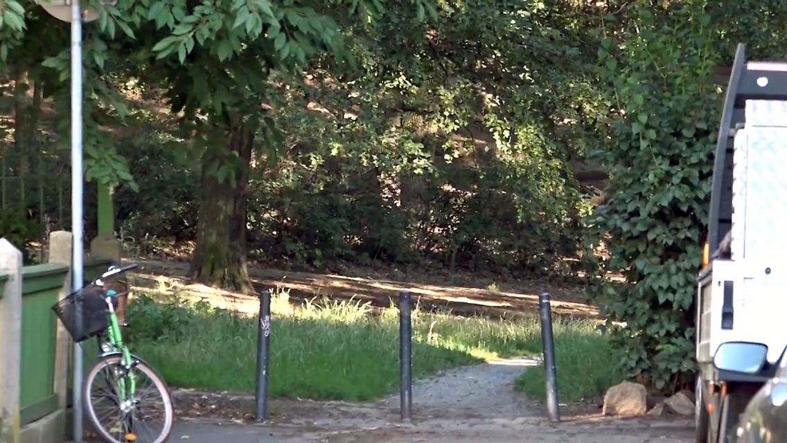 DresdenExhibitionist.jpg