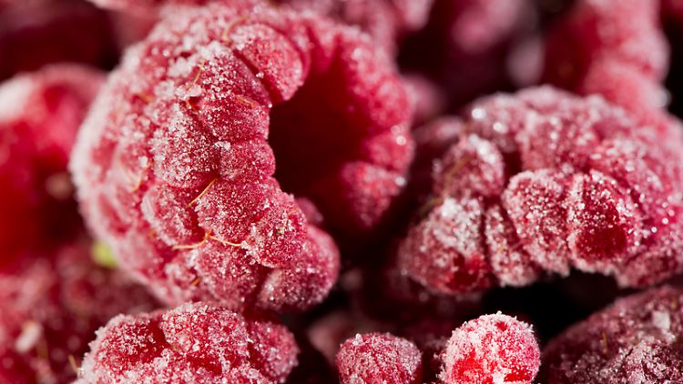Besser als ihr Ruf: Tiefkühlkost. Obst oder Gemüse wird meist erntefrisch schockgefrostet und verliert daher wenig Nährstoffe.