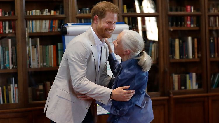 Ein Tänzchen in Ehren kann niemand verwehren: Prinz Harry und Jane Goodall.
