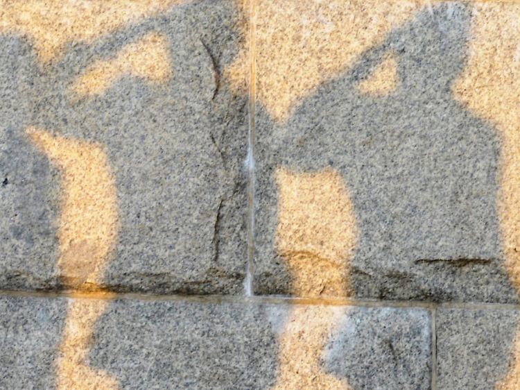 Rekruten der Bundeswehr werfen beim Gelöbnis vor dem Reichstag in Berlin Schatten (Archivbild).