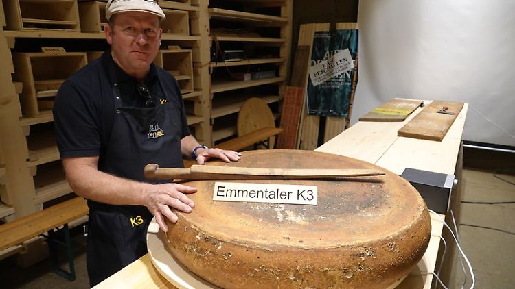Der Schweizer Tierarzt und Hobbykäser Beat Wampfler in seinem Käselager im Emmental. Er hat Käselaibe mit unterschiedlicher Musik beschallt.