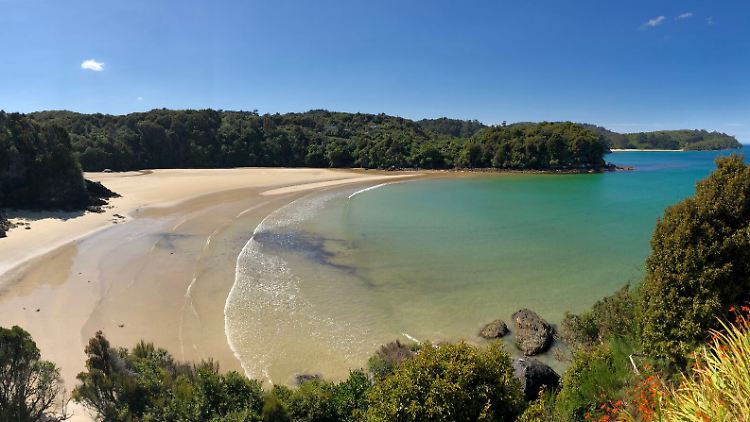 Ein Traumstrand wie aus dem Bilderbuch - auf Stewart Island ist das Realität.