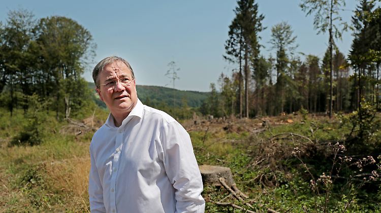 Dieser Wald sieht nicht gesund aus: Laschet am Donnerstag im Königsforst. 