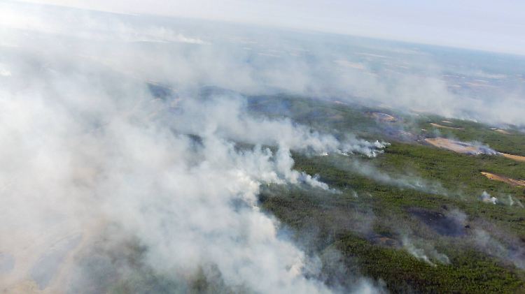 In einigen Regionen Sibiriens gibt es alljährlich große Waldbrände.