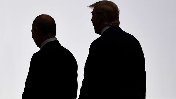 Stehen in regem Austausch: Wladimir Putin und Donald Trump.