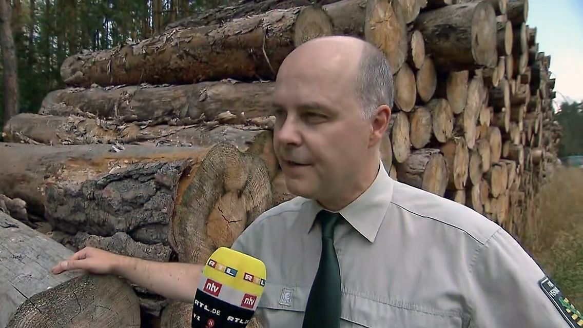 förster.jpg