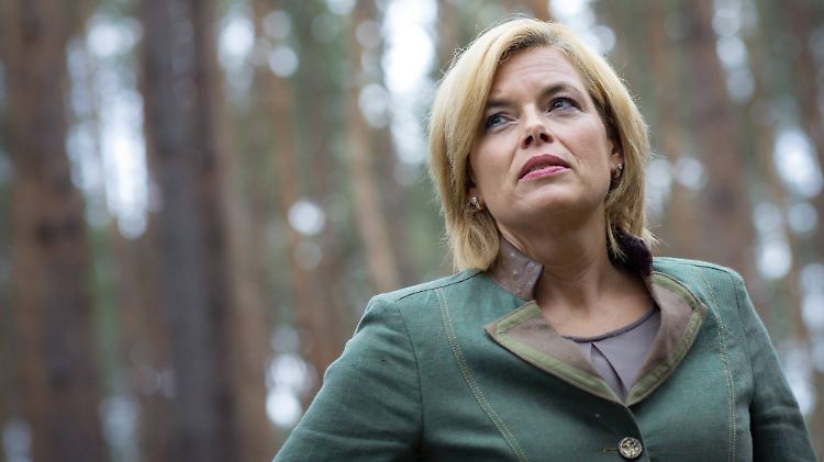 Zusammen mit ihren Amtskollegen aus den Ländern will Bundelandwirtschaftsministerin Klöckner für den deutschen Wald kämpfen.