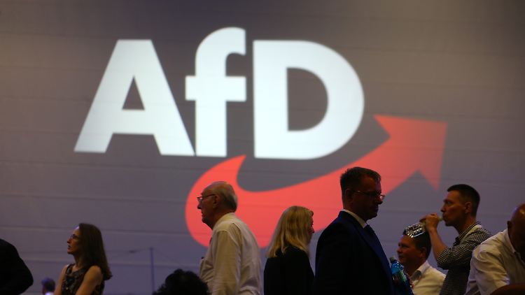 Im vergangenen Jahr veröffentlichte die AfD 242 Pressemitteilungen zum Thema Kriminalität.