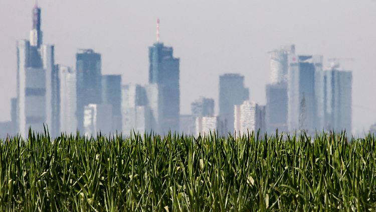 In diesem Sommer wurden an mehreren Orten in Deutschland Temperaturen jenseits der 40 Grad gemessen.