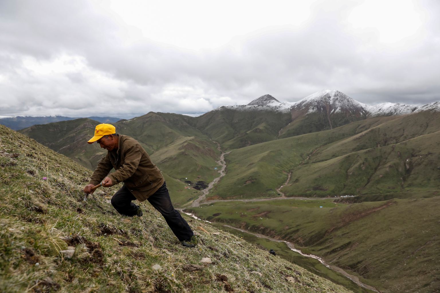 Ma Junxiao, ein muslimischer Hui aus dem Westen Chinas, verlässt jedes Frühjahr sein Heimatdorf im Westen der Volksrepublik und fährt 600 Kilometer weit zu namenlosen Bergen in die Provinz Qinghai im Nordosten des tibetischen Hochlandes. 