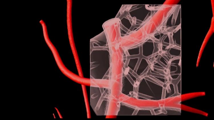 Forscher der Carnegie Mellon University haben eine Technik entwickelt, mit der sie voll funktionsfähige Komponenten des menschlichen Herzens herstellen können.