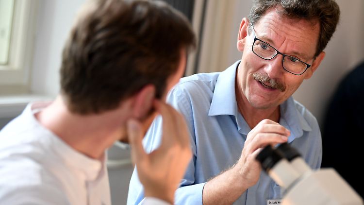 Geowissenschaftler Lutz Hecht (r.) erklärt bei einem Workshop im Naturkundemuseum die Vorgehensweise. Der Teilnehmer versucht, Mini-Meteoriten zu entdecken, die von Berliner Dächern gesammelt wurden.