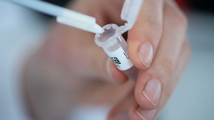 Anhand von DNA-Proben der exhumierten Leiche wollen Ermittler den Täter ausfindig machen.