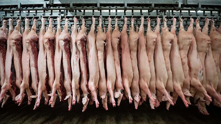 2,6 Millionen Tonnen Schweinefleisch wurden in der ersten Jahreshälfte produziert - knapp vier Prozent weniger als im Vorjahr.